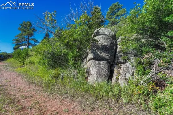 Larkspur, CO 80118,00 Columbine RD