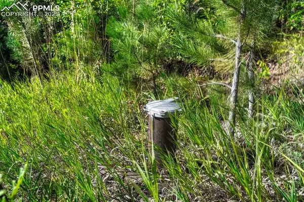 Larkspur, CO 80118,00 Columbine RD