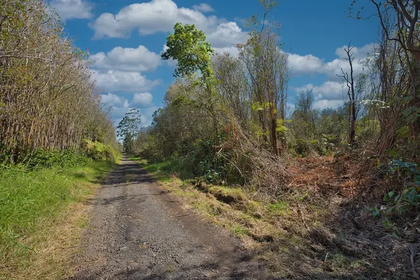 MAKAALA RD, Mountain View, HI 96785