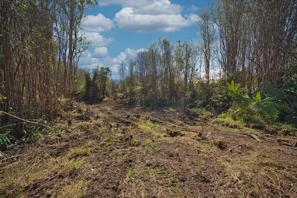 MAKAALA RD, Mountain View, HI 96785