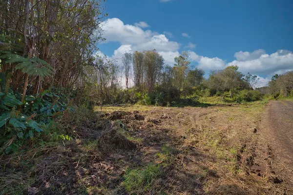 MAKAALA RD, Mountain View, HI 96785