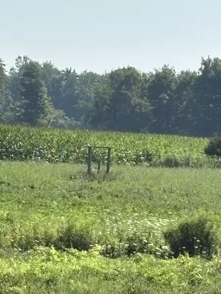 4688 Godby RD, Bayham, ON N0J 1T0