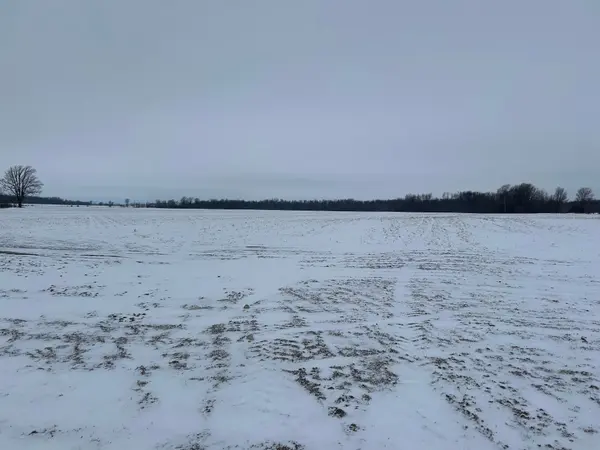 Arran-elderslie, ON N0G 1L0,132 6 Concession