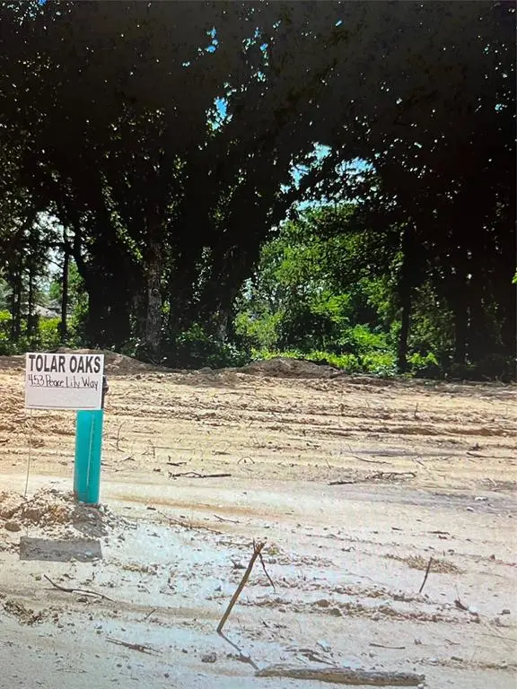 Tolar, TX 76476,453 Peace Lily Way