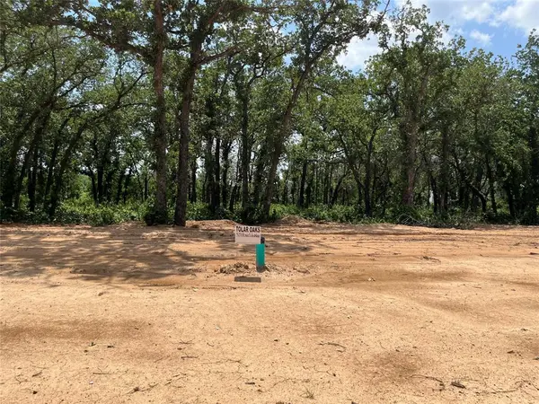 Tolar, TX 76476,437 Peace Lily Way