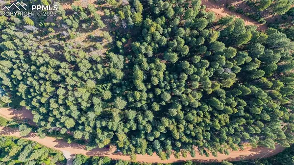 13255 Spruce Creek CIR, Larkspur, CO 80118