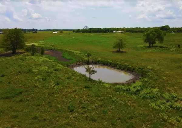 Blossom, TX 75416,871 County Road 15190