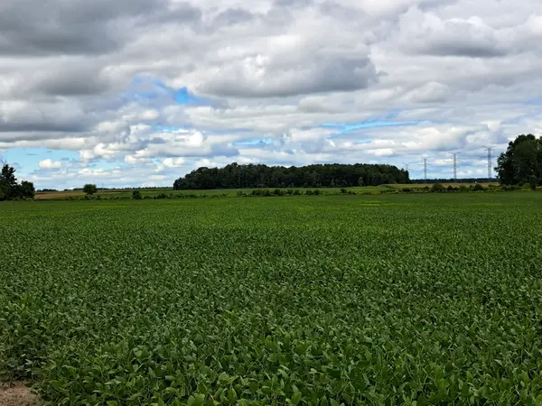 27524 New Ontario RD, North Middlesex, ON N0M 2K0