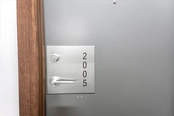 Toronto C01, ON M5V 0H5,30 Nelson ST #2005