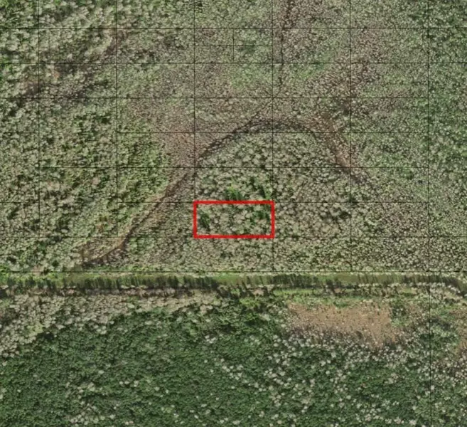 0 HOLOPAW GROVES RD, St. Cloud, FL 34772