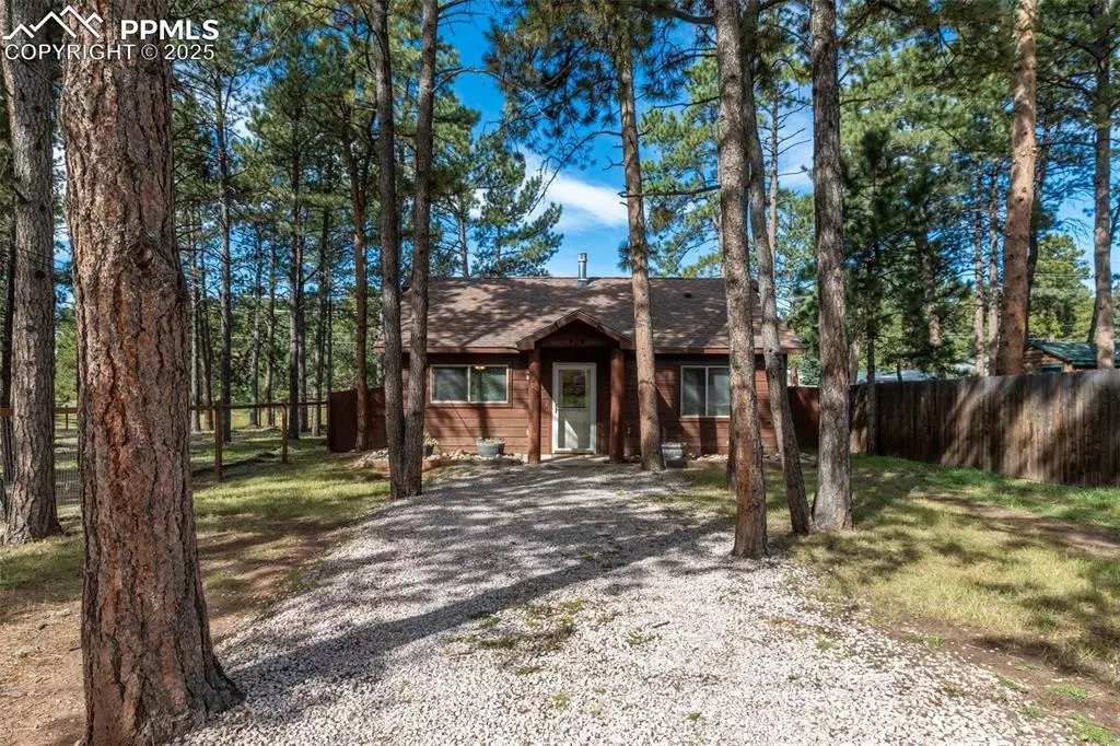 Woodland Park, CO 80863,509 Dallas ALY