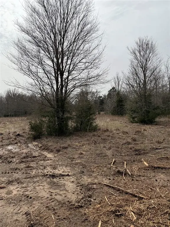 Kerens, TX 75144,Lot 1 SE CR 4045