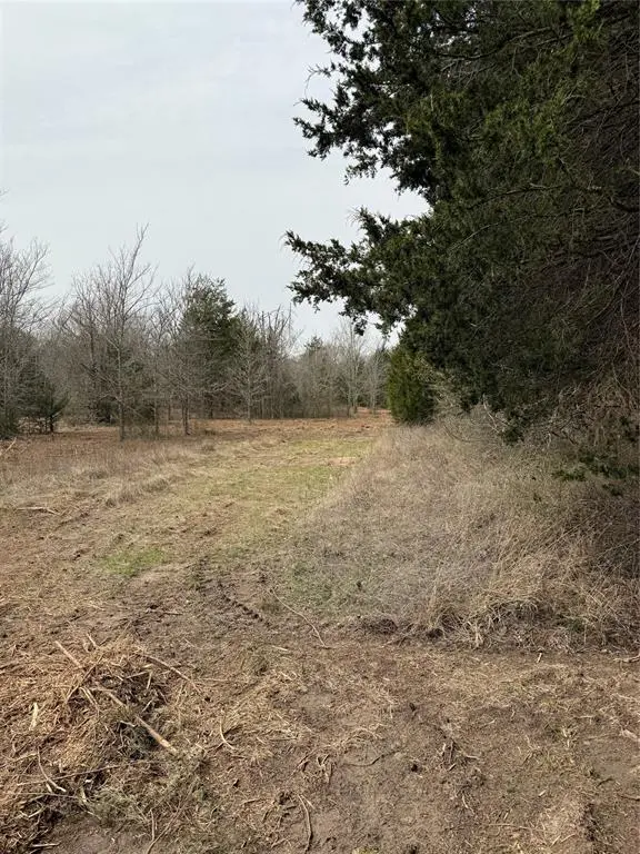 Kerens, TX 75144,Lot 1 SE CR 4045