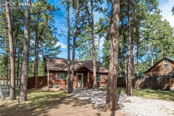 Woodland Park, CO 80863,509 Dallas ALY