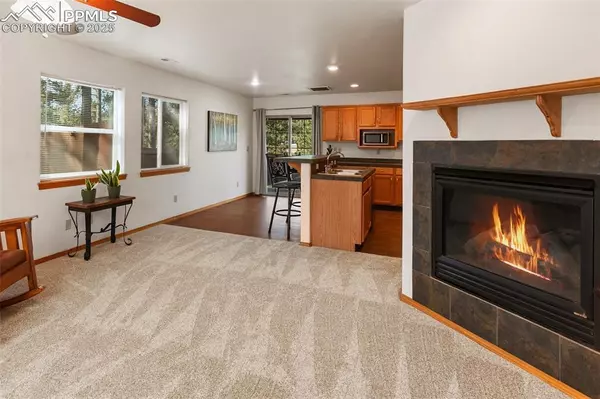 Woodland Park, CO 80863,509 Dallas ALY