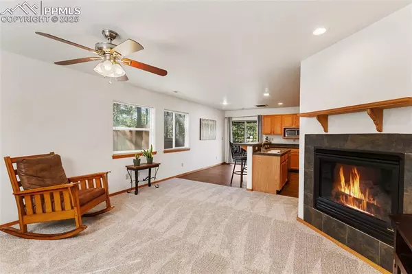 Woodland Park, CO 80863,509 Dallas ALY