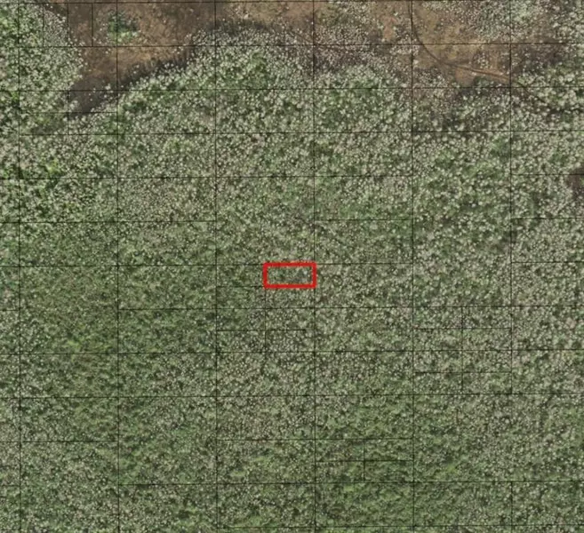 0 HOLOPAW GROVES RD, St. Cloud, FL 34772