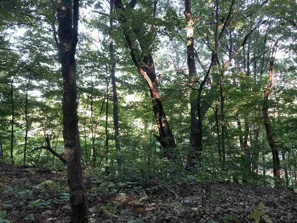 Frankfort, MI 49635,LOT 122 Crystal Downs DR