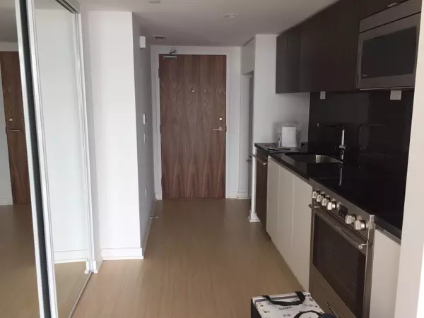 Toronto C01, ON M5V 0J8,75 Queens Wharf RD #2909