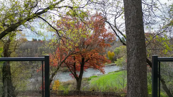 Mississauga, ON L5C 2P6,2552 Jarvis ST