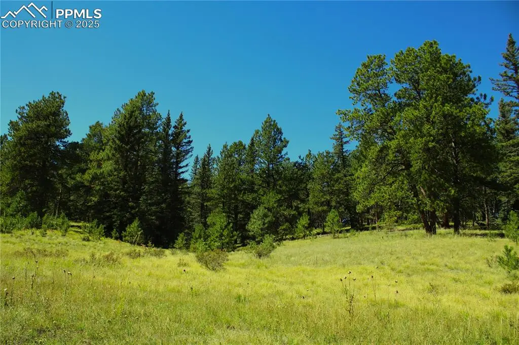 6500 County Road 5, Divide, CO 80814