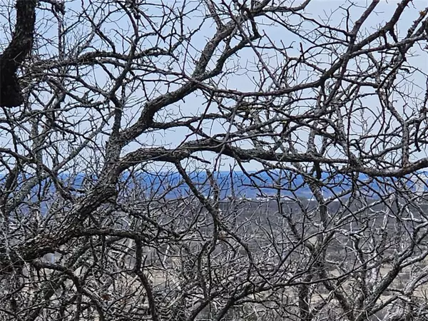 Brownwood, TX 76801,1624 County Road 135