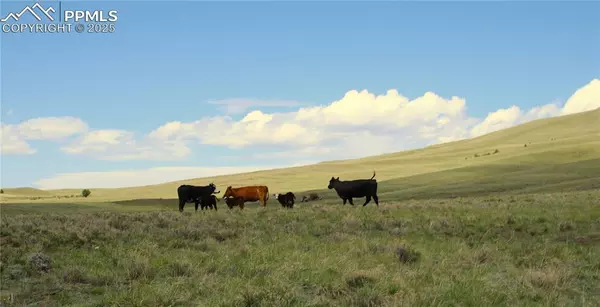 Guffey, CO 80820,State HWY