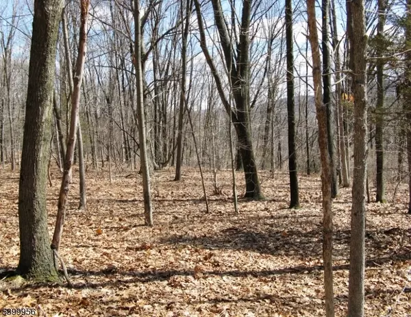 Mansfield Twp., NJ 07865,1333 State Route 57