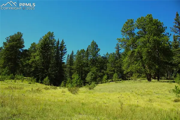 Divide, CO 80814,6500 County Road 5