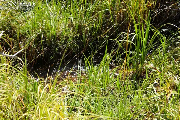 6500 County Road 5, Divide, CO 80814