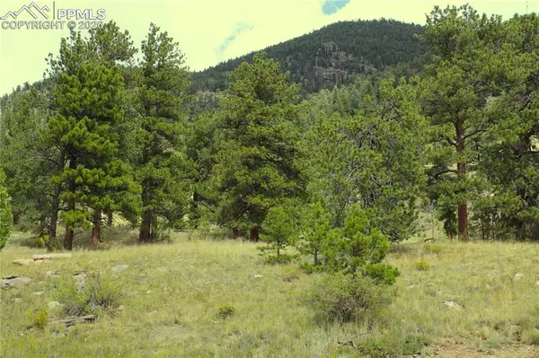 Highway 24, Hartsel, CO 80827