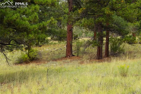 Highway 24, Hartsel, CO 80827