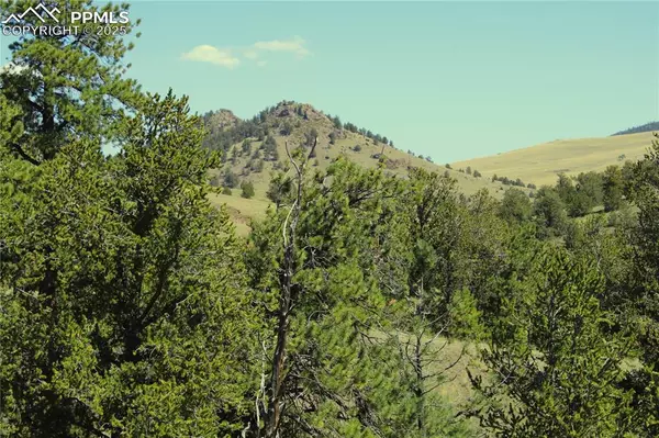 Guffey, CO 80820,State HWY