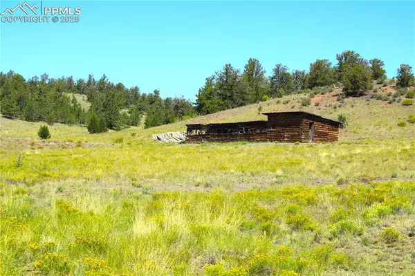 Guffey, CO 80820,State HWY