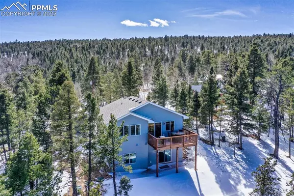 Woodland Park, CO 80863,269 Klitowya TRL