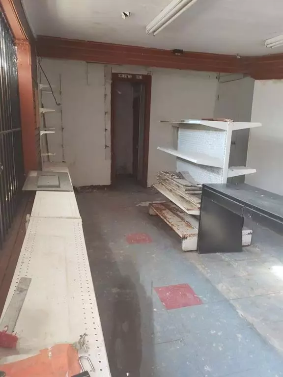 Dallas, TX 75210,3022 Lagow Street