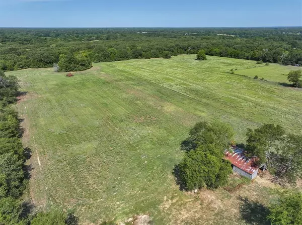 Grand Saline, TX 75140,000 - C VZ County Rd 1810