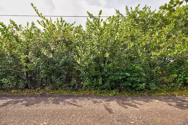 Keaau, HI 96749,8TH AVE