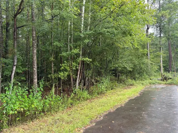 Haughton, LA 71037,0 Fox Skin Drive