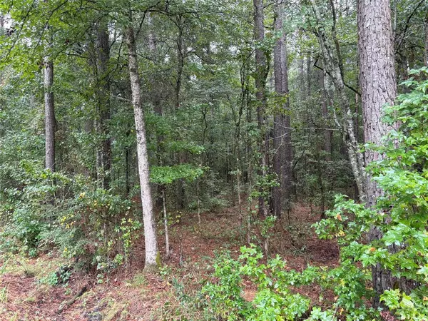 Haughton, LA 71037,0 Fox Skin Drive