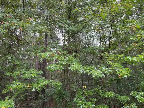 Haughton, LA 71037,0 Fox Skin Drive