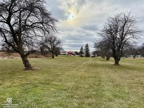 Yale, MI 48097,10865 Norman RD