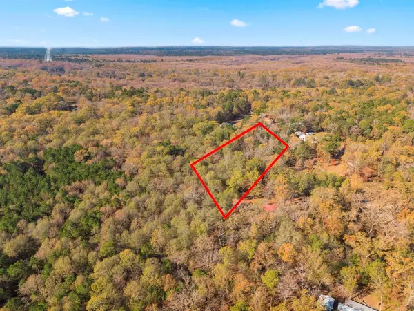 Karnack, TX 75661,0 County Road 2413 Road