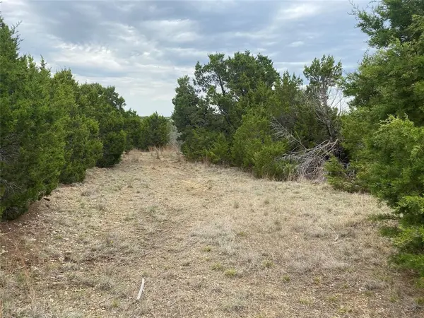 Graford, TX 76449,1011 Enchanted Rock Court