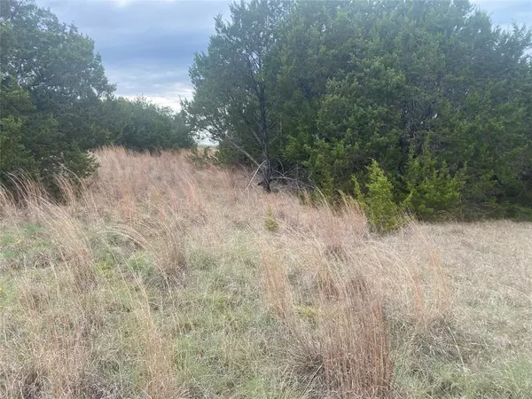 Graford, TX 76449,1011 Enchanted Rock Court