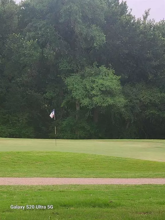 Whitney, TX 76692,17081 Faircrest Drive