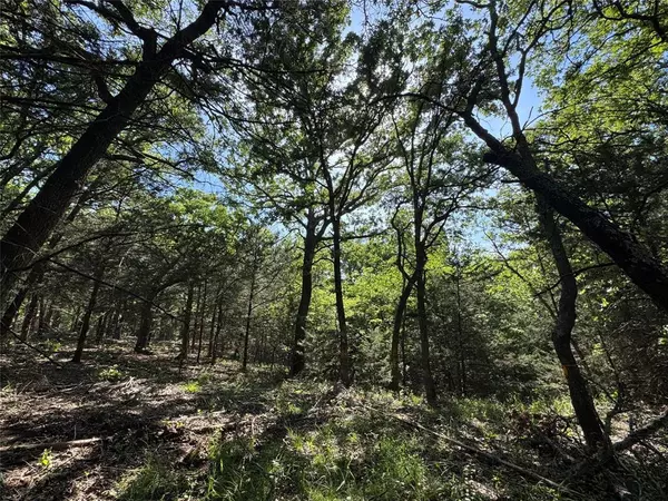 Decatur, TX 76234,144 Cedar Oak Drive