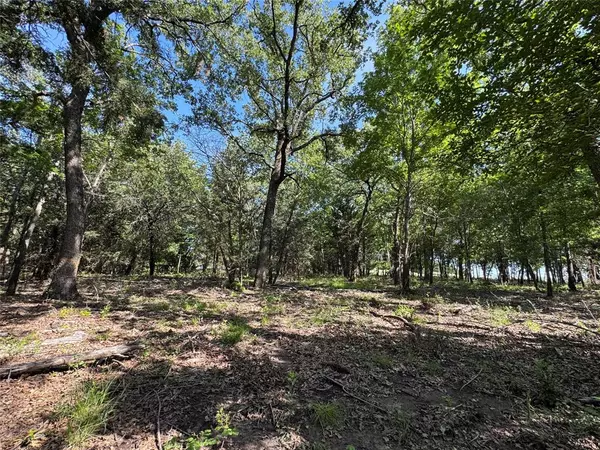 Decatur, TX 76234,144 Cedar Oak Drive