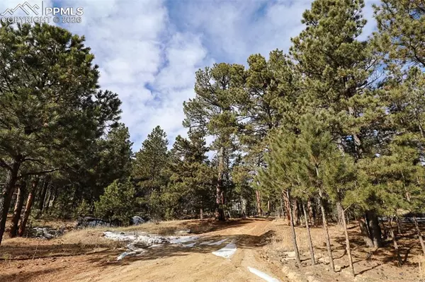 Peyton, CO 80831,20155 Saddle Blanket LN