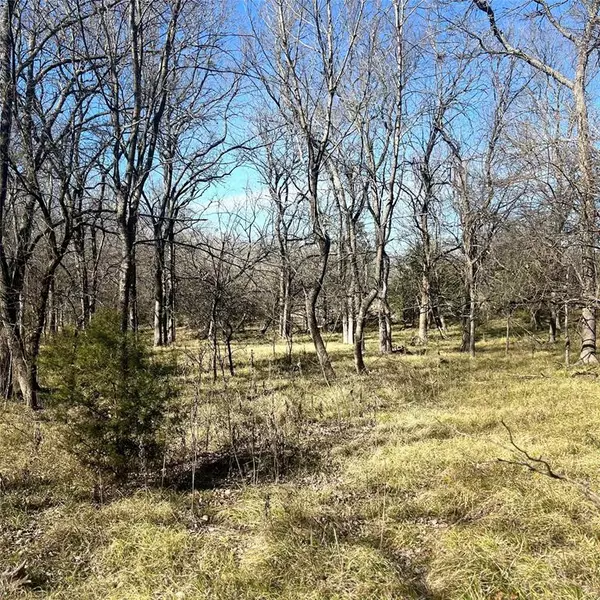 Sulphur Springs, TX 75482,TBD Tx-154